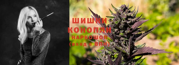 молекула духа Арсеньев