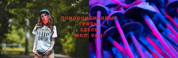 молекула духа Арсеньев
