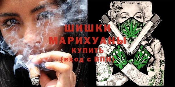 стаф Аркадак