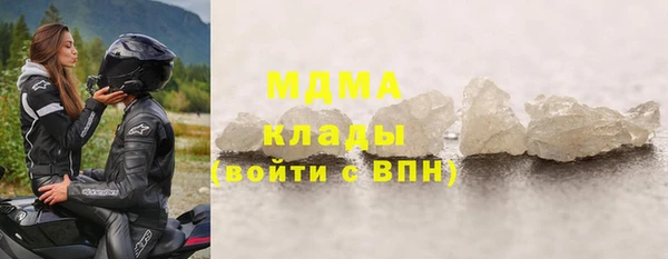 стаф Аркадак
