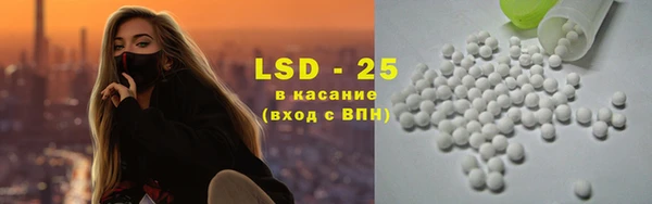 стаф Аркадак