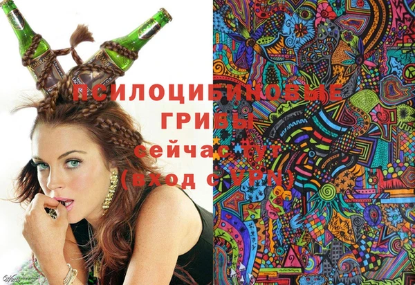 молекула духа Арсеньев
