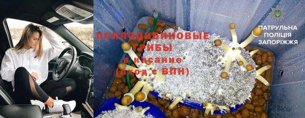 сатива Армянск