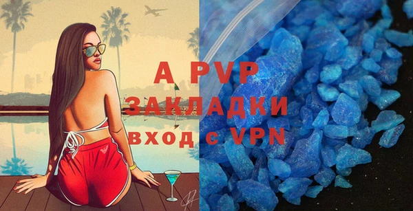 молекула духа Арсеньев