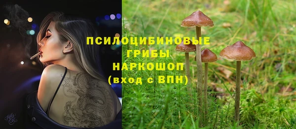 сатива Армянск