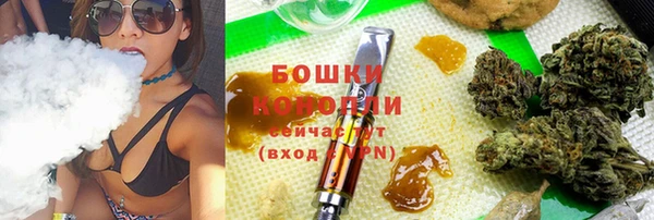 молекула духа Арсеньев