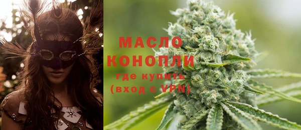 стаф Аркадак