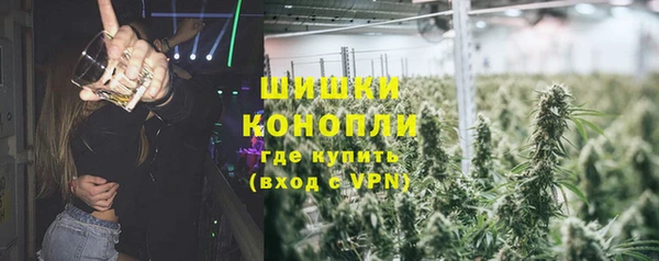 молекула духа Арсеньев