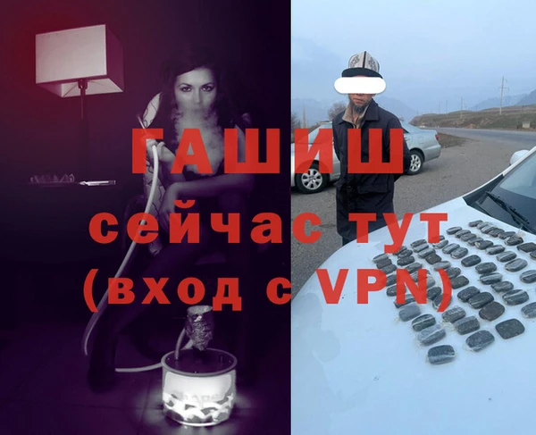 молекула духа Арсеньев