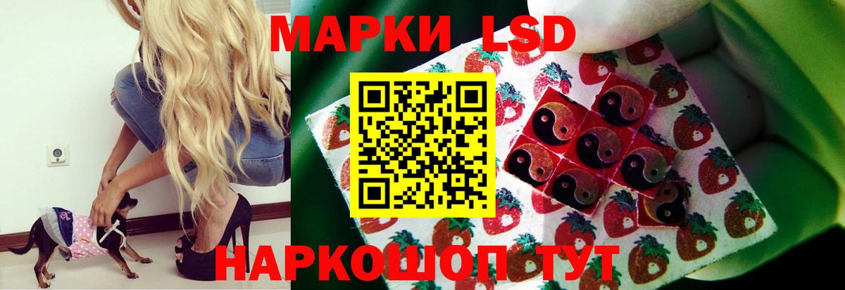 Лсд 25 экстази кислота  блэк спрут зеркало  Павловский Посад  LSD-25 экстази ecstasy  Вход с VPN  ЛСД экстази 